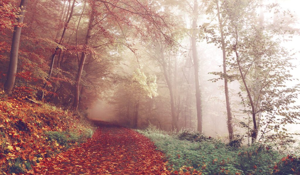 How To Do Sleep Therapy With Soothing Sounds Of Nature